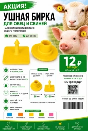 Ушная бирка для овец и свиней 30*30/d-28 мм