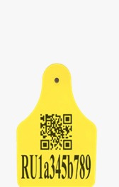 Бирка для улья 
