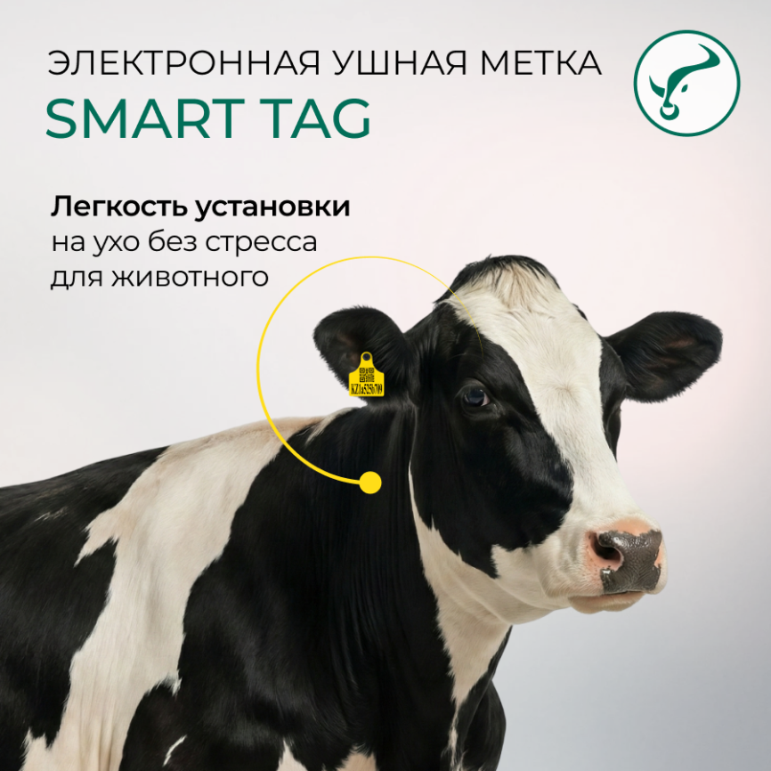 Электронна ушная метка 98х75/Ø28мм  XL  UHF SMART Tag  фото 5
