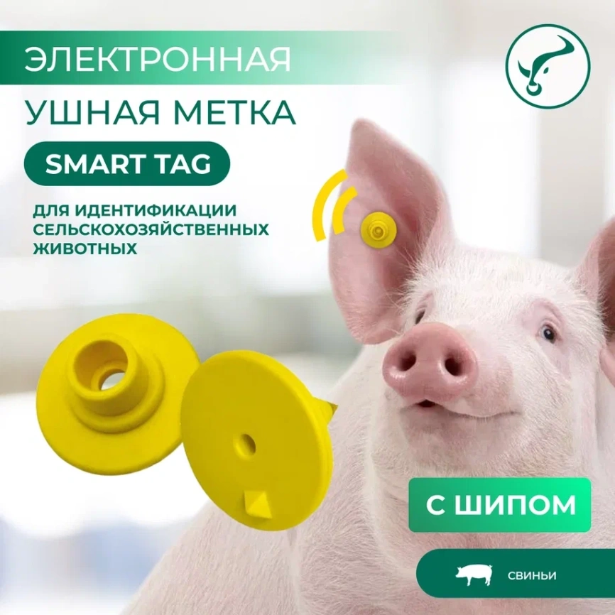 Электронная ушная метка UHF  860-960 kHz., d-29мм c ШИПОМ фото 2