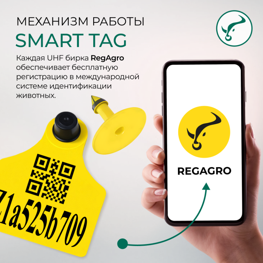 Электронна ушная метка 98х75/Ø28мм  XL  UHF SMART Tag  фото 3