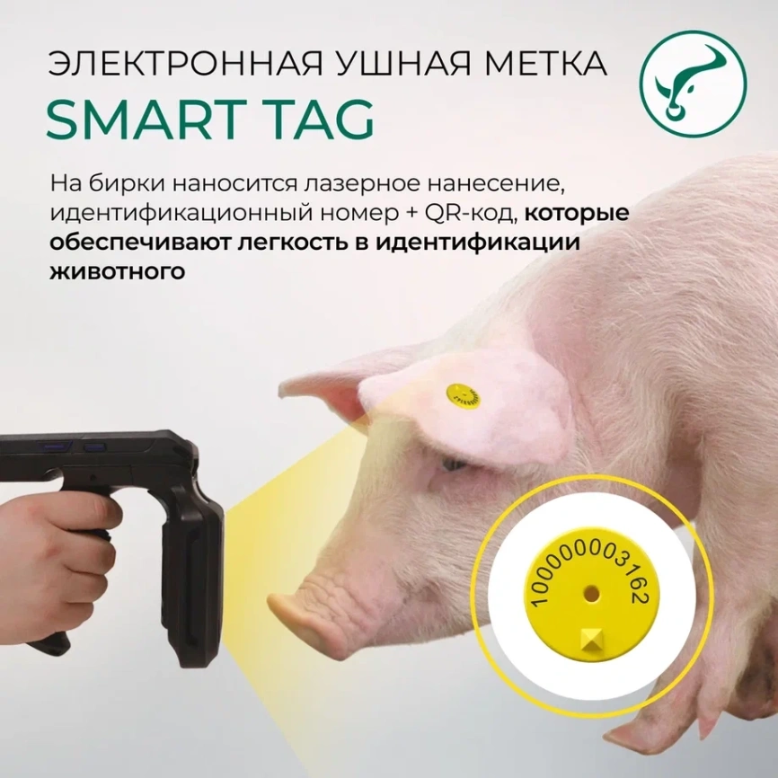 Электронная ушная метка UHF  860-960 kHz., d-29мм c ШИПОМ фото 5