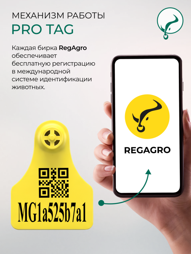  Бирка 112*75/80*60 мм  ушная PRO Tag  XL фото 5