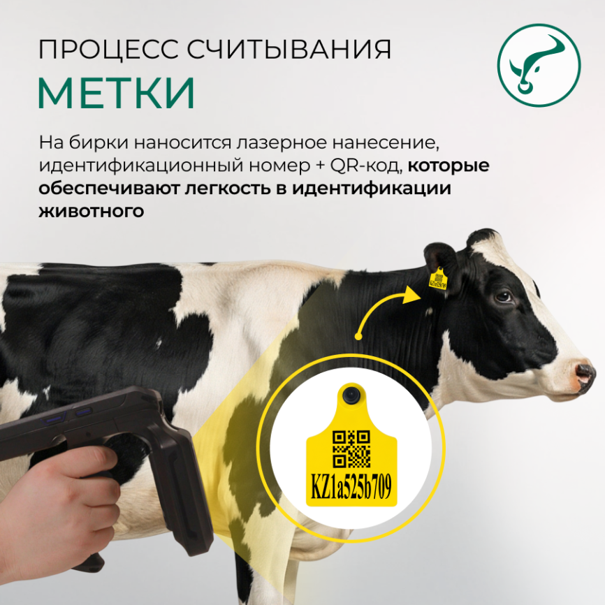 Электронна ушная метка 98х75/Ø28мм  XL  UHF SMART Tag  фото 4