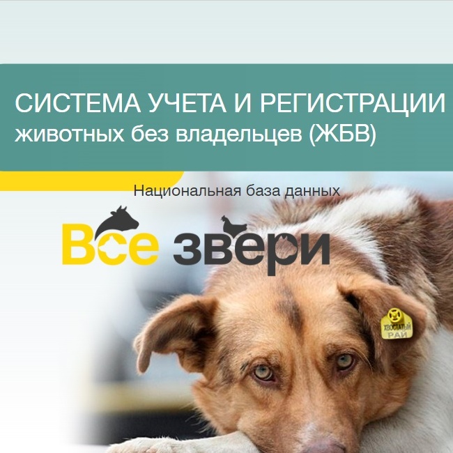 Учет животных без владельцев в Якутии