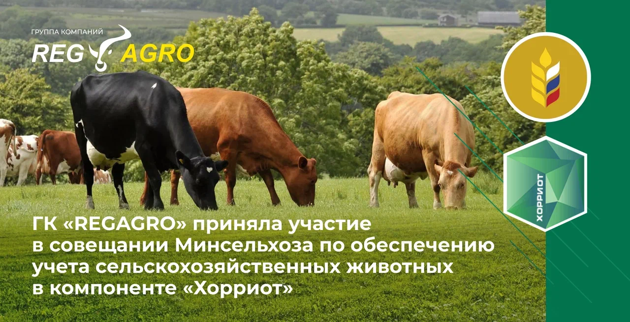 ГК «REGAGRO» приняла участие в совещании Минсельхоза по обеспечению учета сельскохозяйственных животных в компоненте «Хорриот»