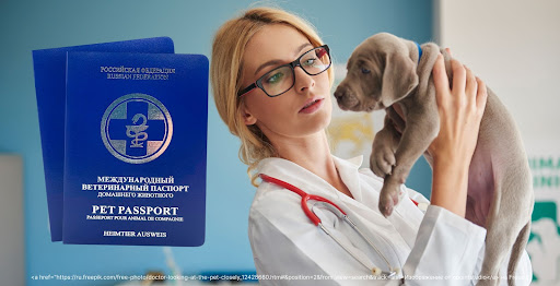Закон об обязательной регистрации домашних животных в Московской области в 2023 году