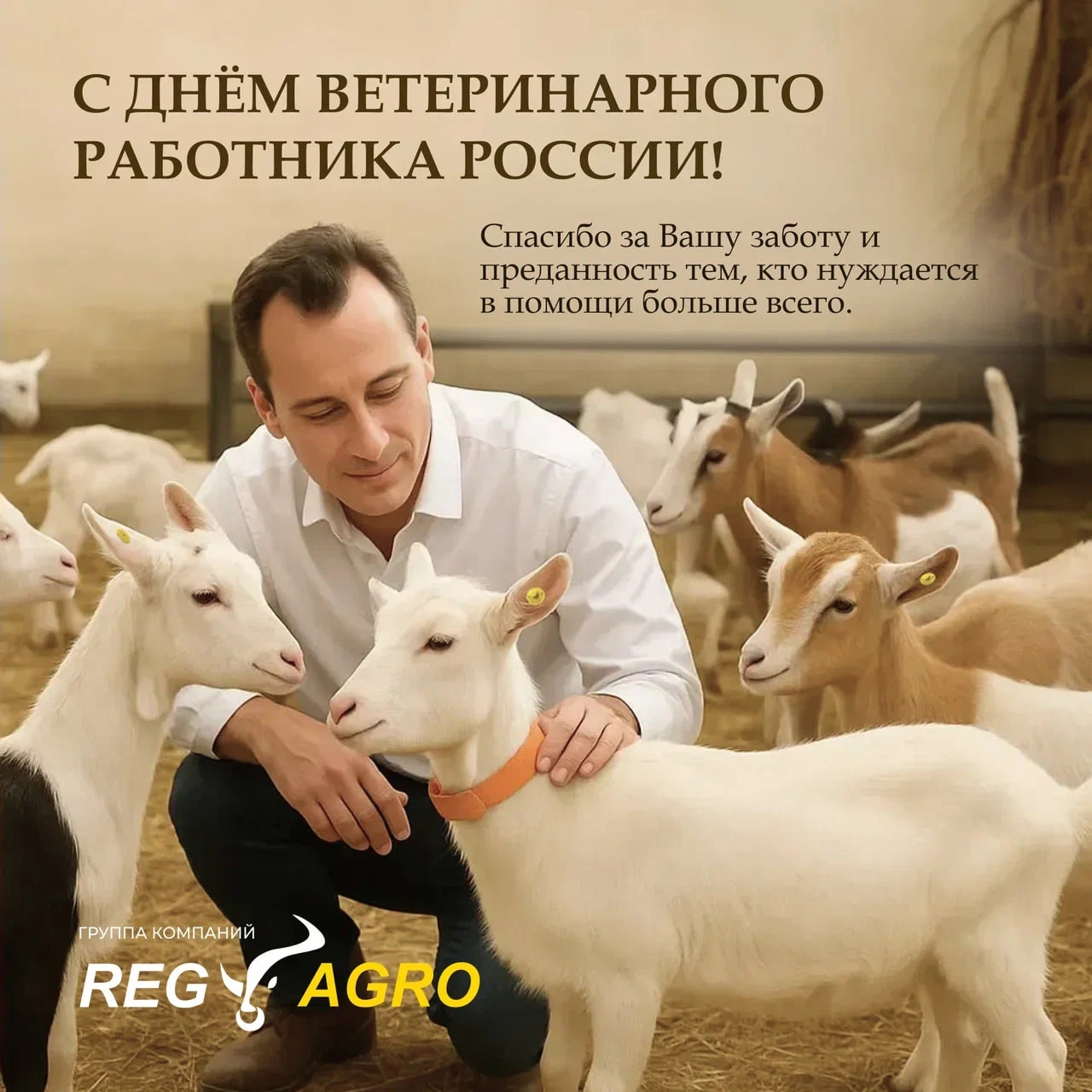 Дорогие коллеги! Примите самые тёплые поздравления с Днём ветеринарного работника России!