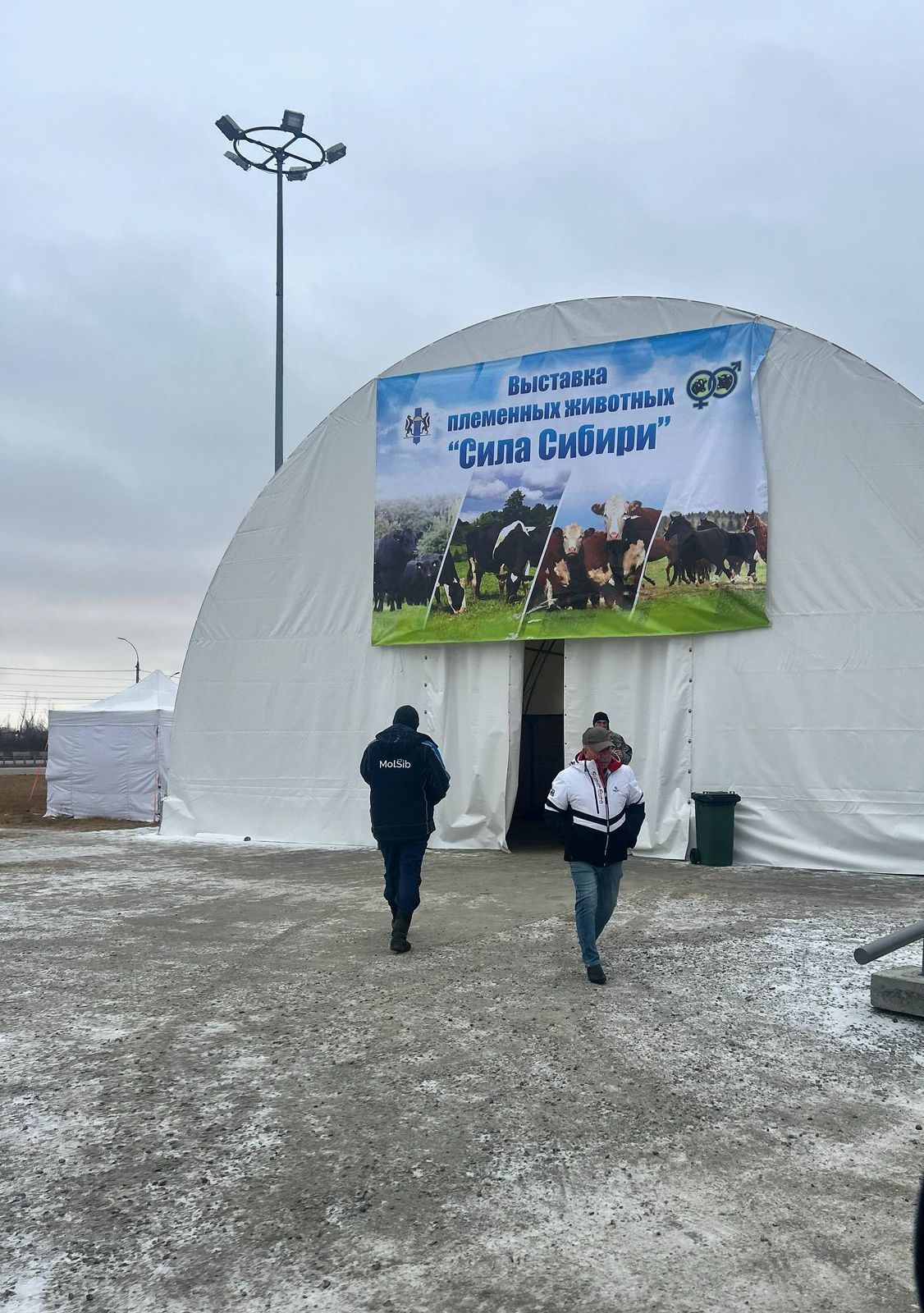 ГК РЕГАГРО приняла участие в «Сибирской аграрной неделе»